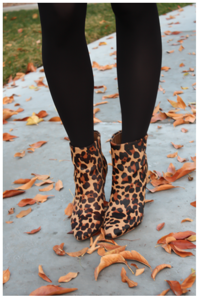 Joie Leopard Boots 2