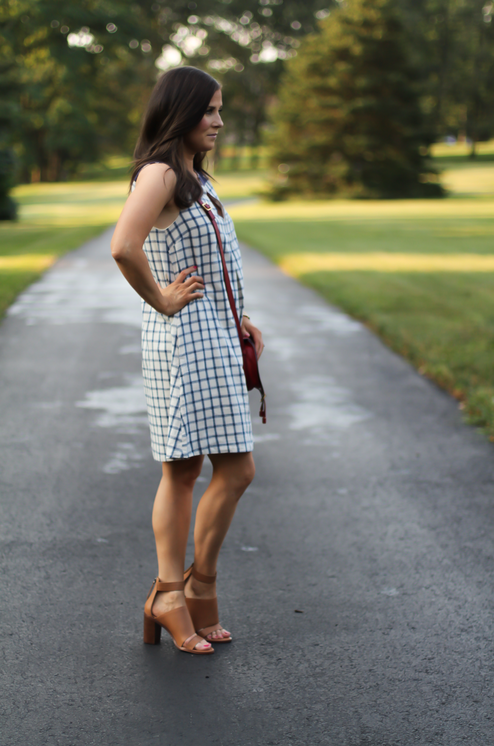 Blue Embroidered Plaid Dress, Red Saddlebag Crossbody, Tan Strap Sandals, Madewell, Chloe, Zimmermann 3